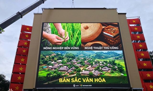 Màn hình LED P4 ngoài trời 400m2 tại Hàm Cá Mập Hà Nội do ATNEXUS thi công